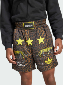 Повседневные шорты Adidas модель KA4545 Фото