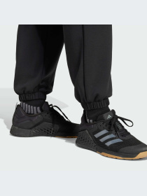 Брюки Adidas модель JP2644-KZ Фото