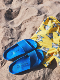 Шлепанцы Grubin модель gr-3033000_blue Фото