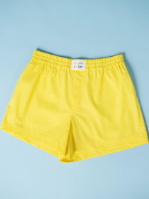 Труси Brabrabra модель SLZ27702010_yellow Фото