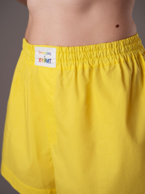 Труси Brabrabra модель SLZ27702010_yellow Фото