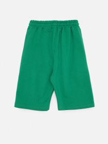 Повседневные шорты YUKI модель ЦБ-00242970 Фото