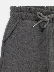 Штаны спортивные YUKI модель ЦБ-00270303 Фото