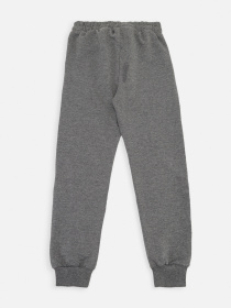 Спортивні штани YUKI модель ЦБ-00270303 Фото