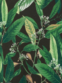 Футболка H&M модель 75412 Фото