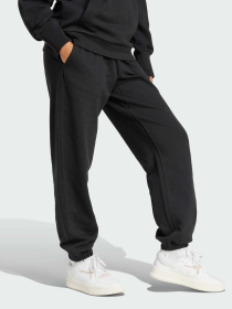 Джогери Adidas модель IX3810 Фото