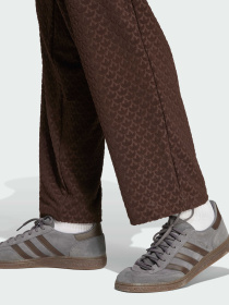 Штани повсякденні Adidas Graphics модель JP4428 Фото