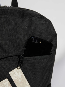 Повседневный рюкзак Adidas модель IS7038 Фото