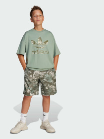 Шорти Adidas Graphics модель JJ0280 Фото