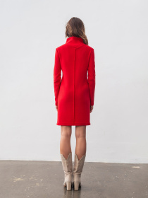 Сукні Lesia модель LiamRedWMNSDRSSLS Сукні Lesia модель LiamRedWMNSDRSSLS Фото