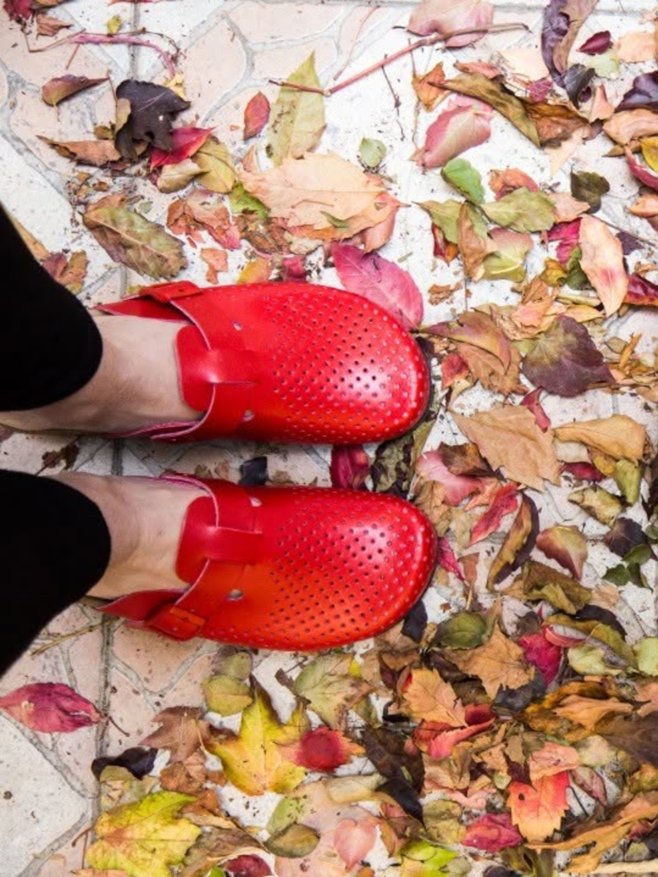 Сабо Grubin Модель gr-65356_red Фото