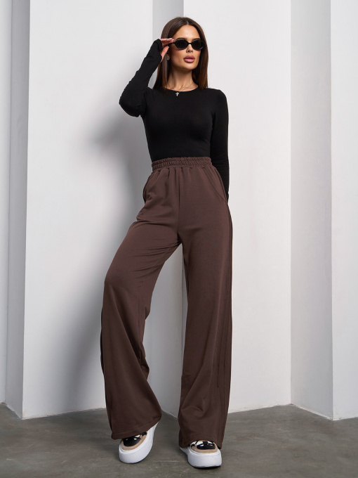 Штани спортивні ISSA Plus модель 15055_коричневый Фото