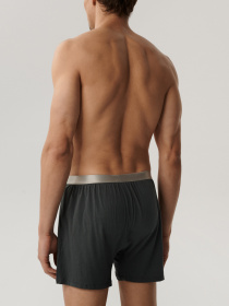 Набір трусів Atlantic модель 2BMB-005_GRF Фото