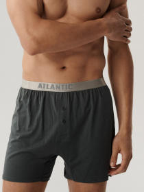 Набір трусів Atlantic модель 2BMB-005_GRF Фото