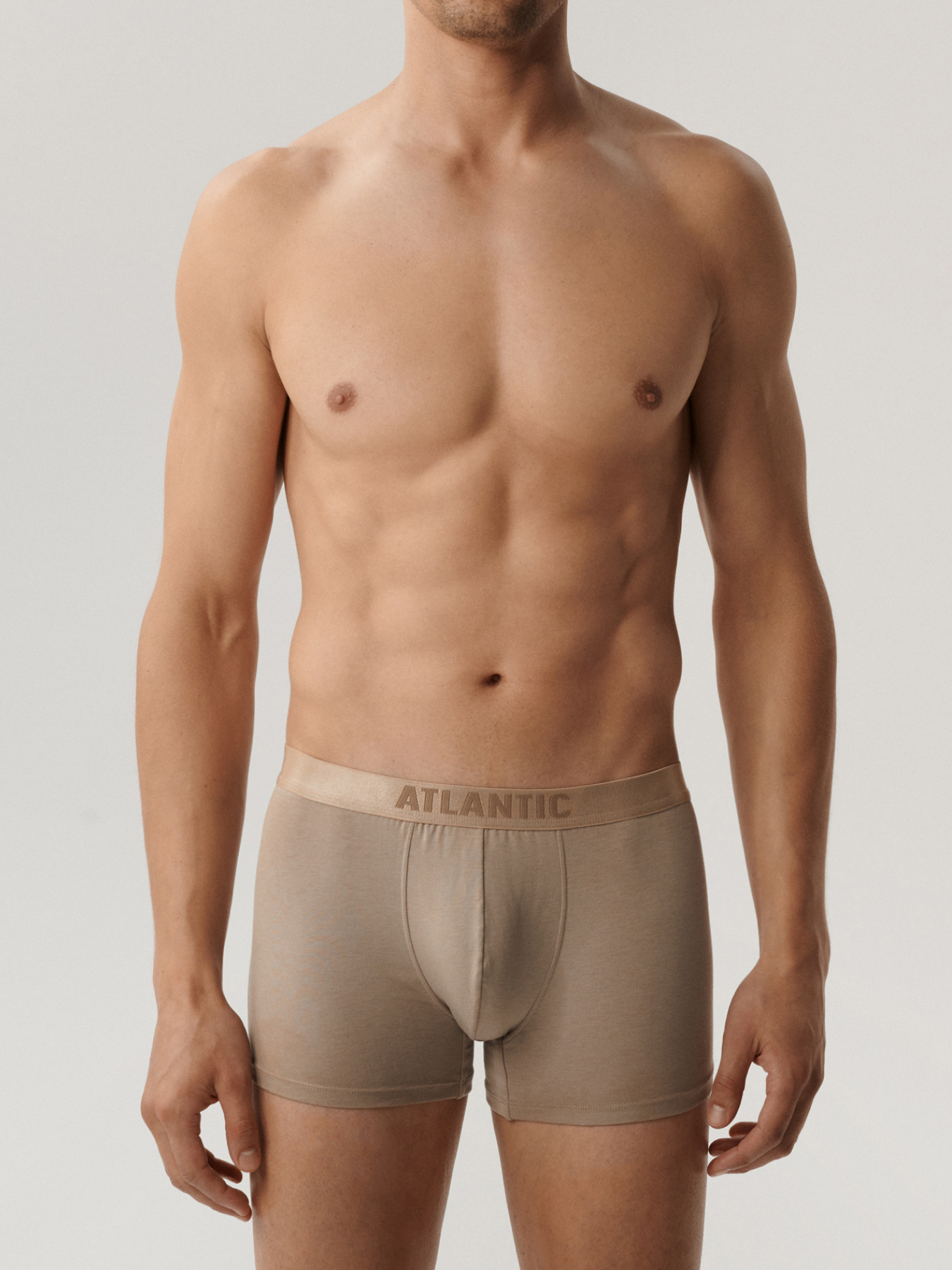 Набір трусів Atlantic модель 2BMH-012 Набір трусів Atlantic модель 2BMH-012 Фото