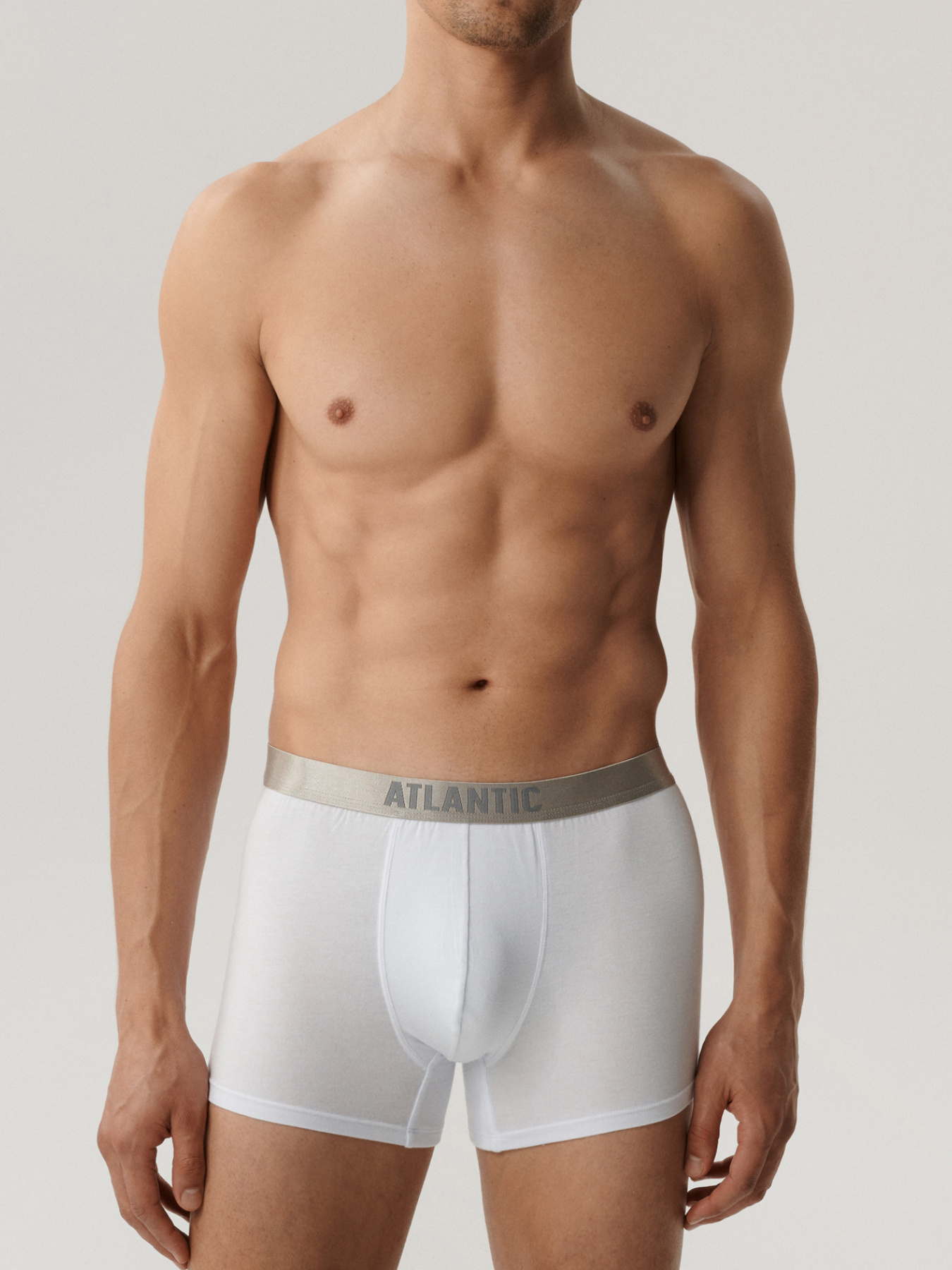 Набір трусів Atlantic модель 2BMH-012_BIA Фото