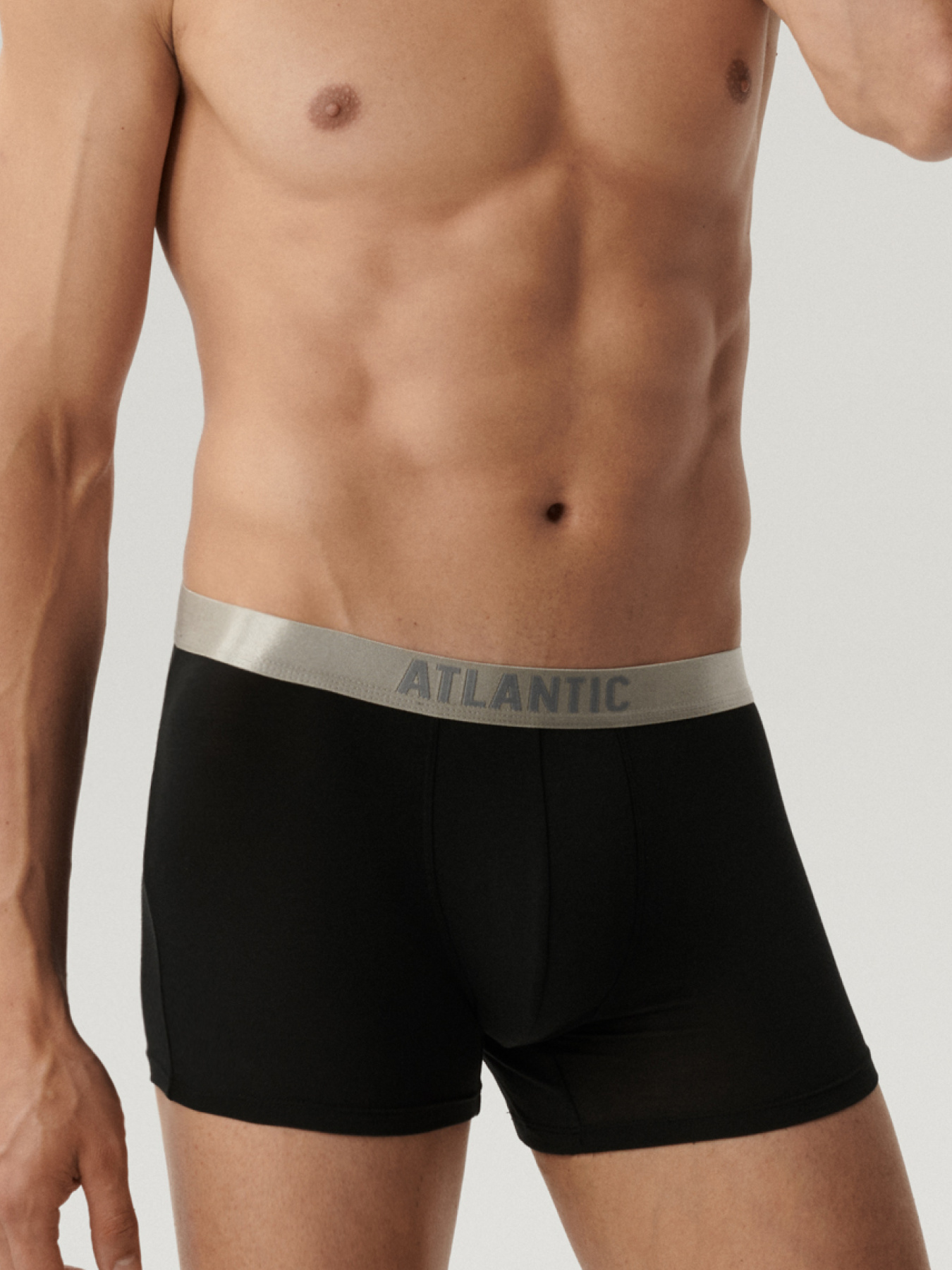 Набір трусів Atlantic модель 2BMH-012_CZA Фото