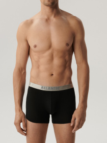 Набір трусів Atlantic модель 2BMH-012_CZA Фото