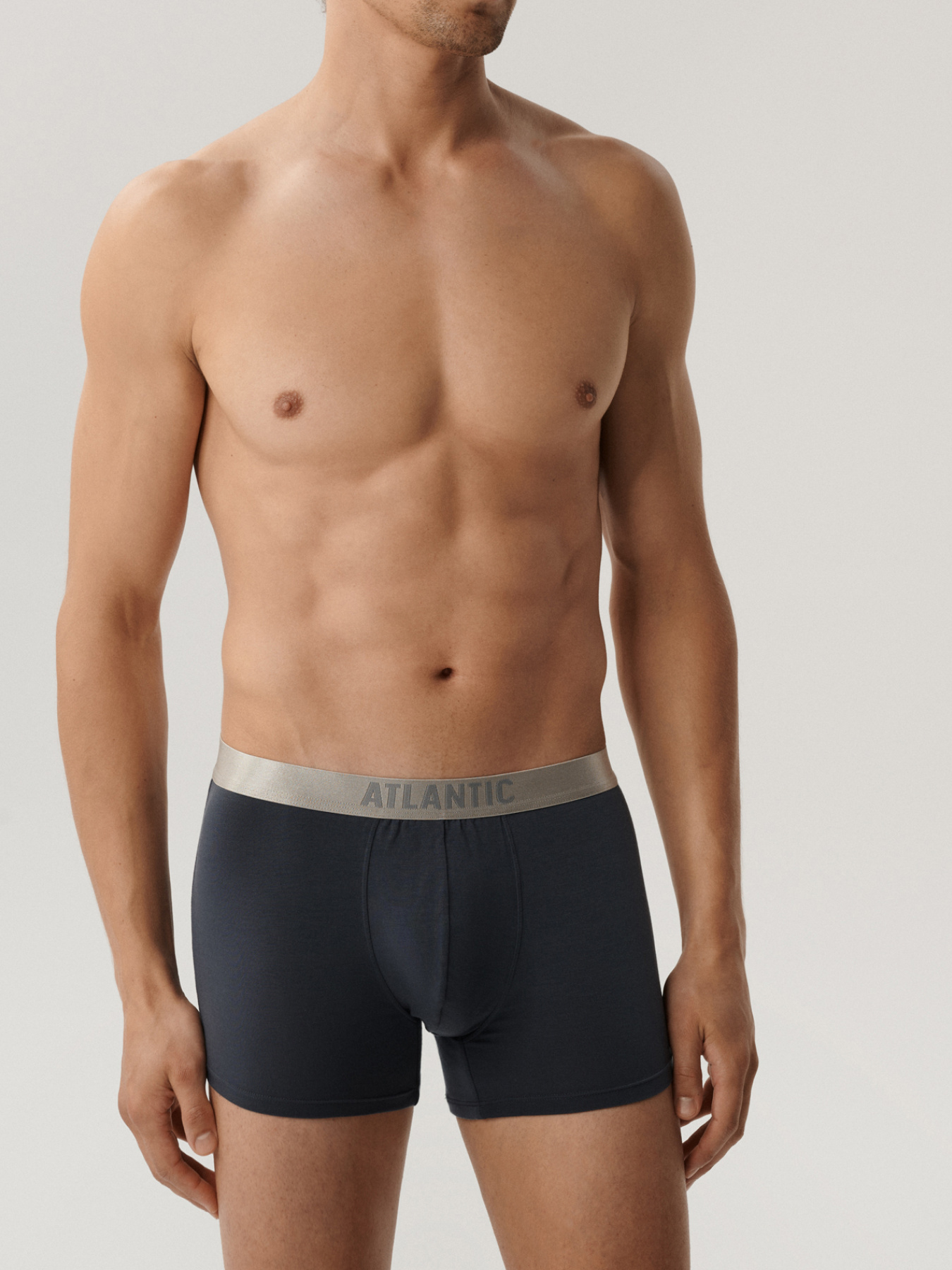 Набір трусів Atlantic модель 2BMH-012_GRF Фото