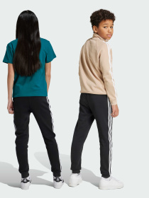 Джогери Adidas Adicolor модель IY7484 Фото