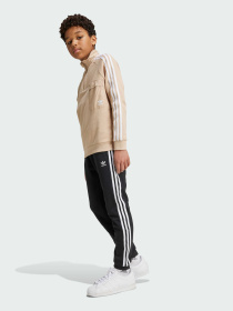 Джогери Adidas Adicolor модель IY7484 Фото