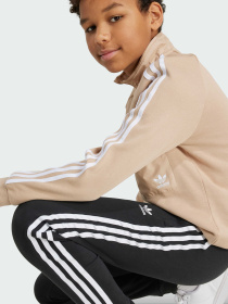 Джогери Adidas Adicolor модель IY7484 Фото