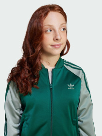 Кофта Adidas Adicolor модель JD1611 Фото