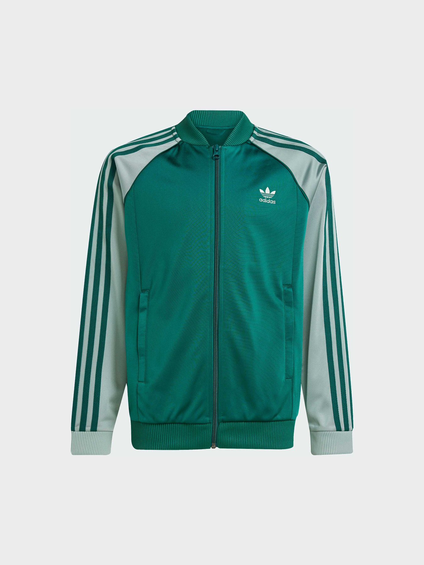 Кофта Adidas Adicolor модель JD1611 Фото