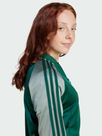 Кофта Adidas Adicolor модель JD1611 Фото