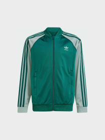 Кофта Adidas Adicolor модель JD1611 Фото