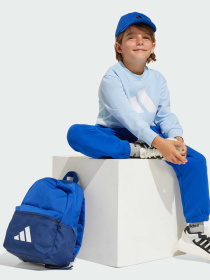 Спортивний костюм Adidas модель JC9726 Фото