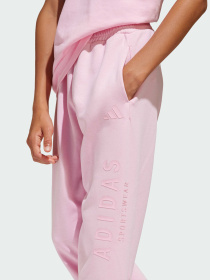 Джогери Adidas модель JI6165 Фото