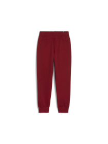 Штани спортивні PUMA Ess Sweatpants модель 586841 Штани спортивні PUMA Ess Sweatpants модель 586841 Фото