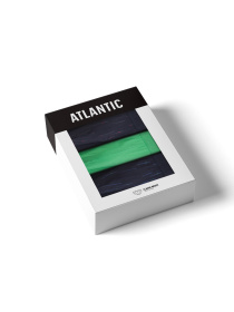 Набор трусов Atlantic модель 3MP-193_GRA_ZIE_GRA Фото