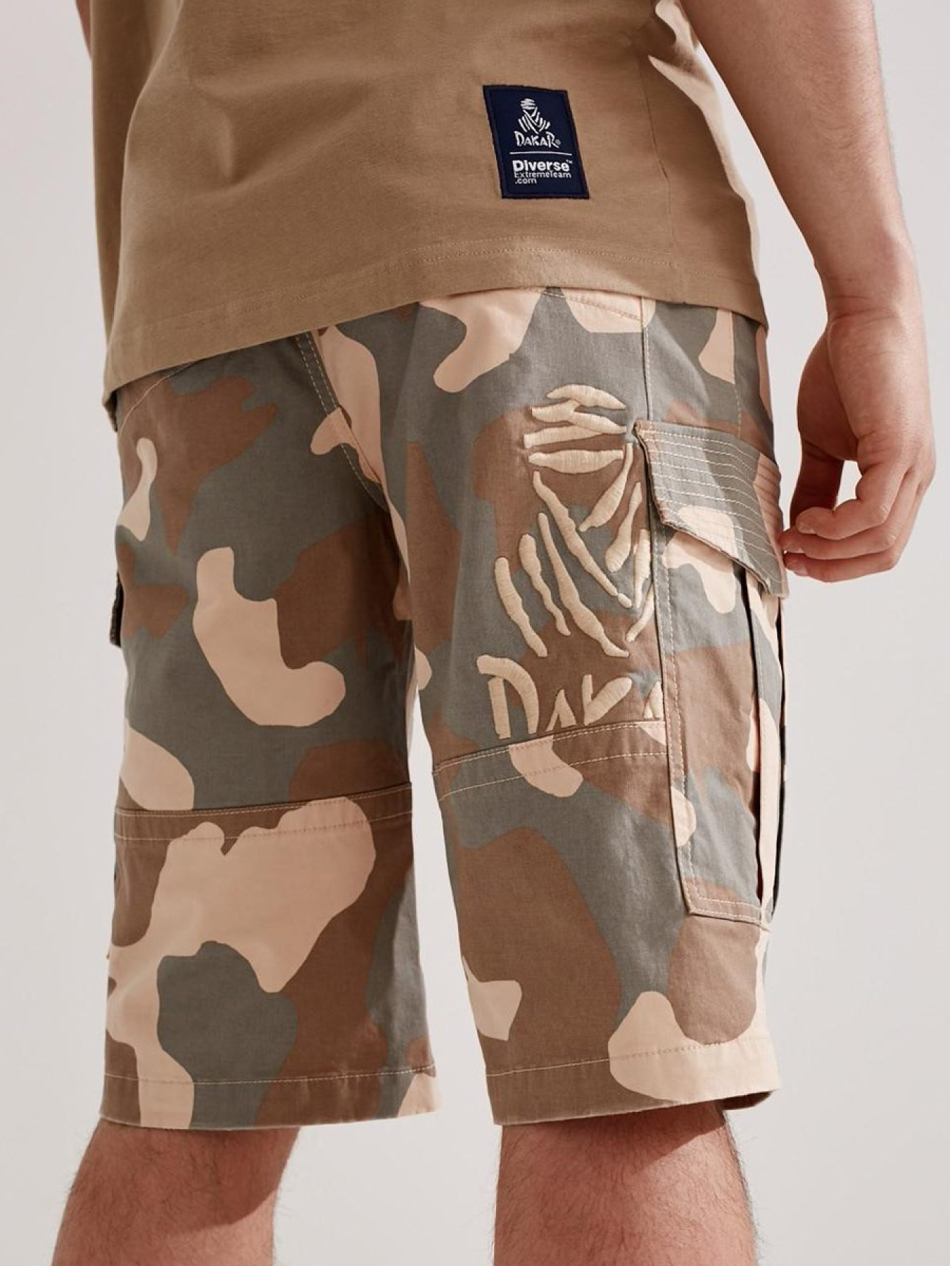 Повсякденні шорти DIVERSE Dext Dkr Cl Cargo Sh модель 10036977 Фото