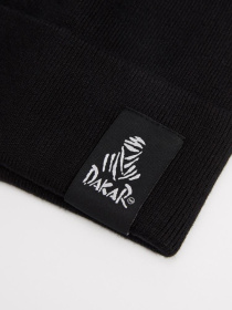 Шапка DIVERSE Dkr Dany Iv модель 10038436 Фото