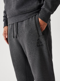 Штаны спортивные DIVERSE Dkr Jog1 модель 10038500 Фото