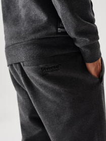 Спортивні штани DIVERSE Dkr Jog1 модель 10038500 Фото