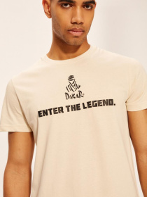 Футболка DIVERSE Dkr V 0422 модель 10039181 Фото