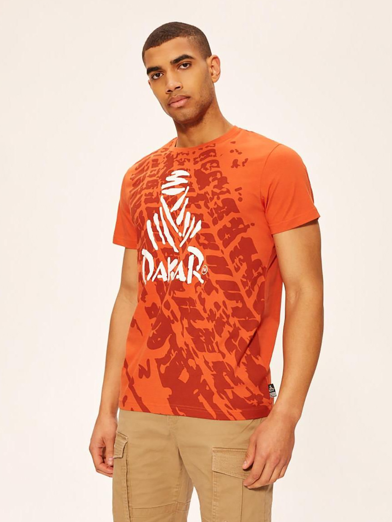 Футболка DIVERSE Dkr 10222 модель 10039184 Фото