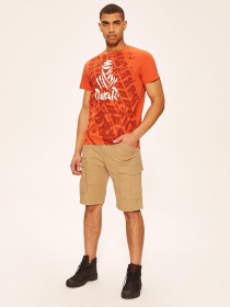 Футболка DIVERSE Dkr 10222 модель 10039184 Фото