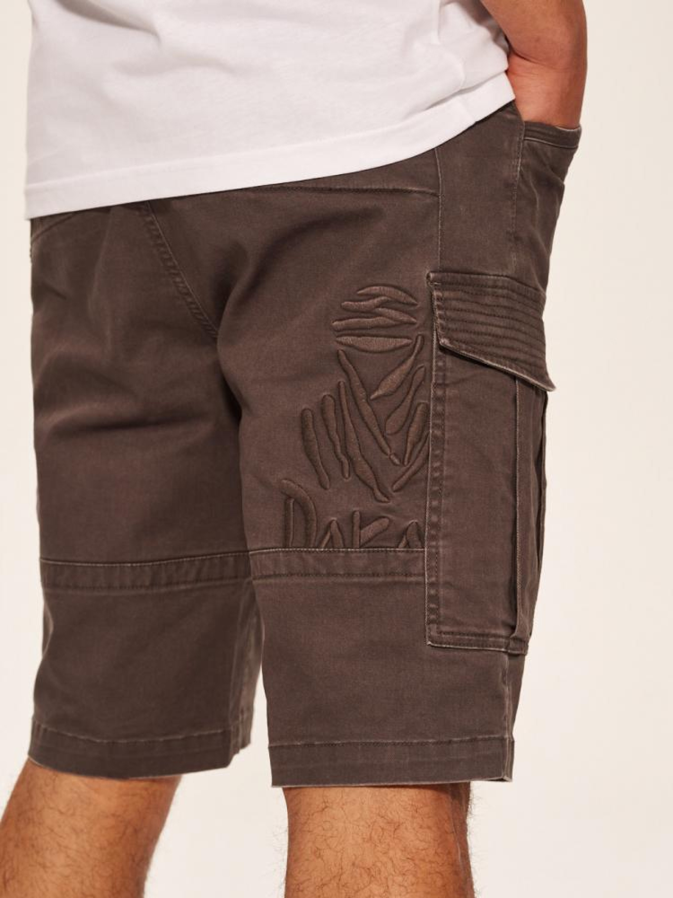 Повседневные шорты DIVERSE Dkr Cargos модель 10039189 Повседневные шорты DIVERSE Dkr Cargos модель 10039189 Фото