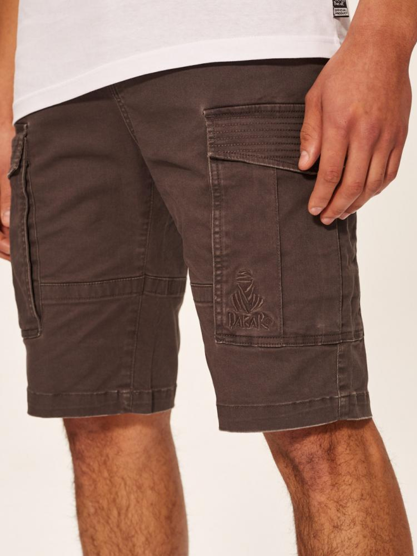 Повседневные шорты DIVERSE Dkr Cargos модель 10039189 Повседневные шорты DIVERSE Dkr Cargos модель 10039189 Фото