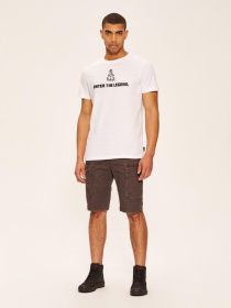 Повседневные шорты DIVERSE Dkr Cargos модель 10039189 Повседневные шорты DIVERSE Dkr Cargos модель 10039189 Фото