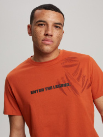 Футболка DIVERSE Dkr D 0323 модель 10040709 Фото