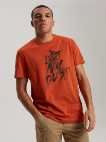 Футболка DIVERSE Dkr D 0623 модель 10040712 Фото