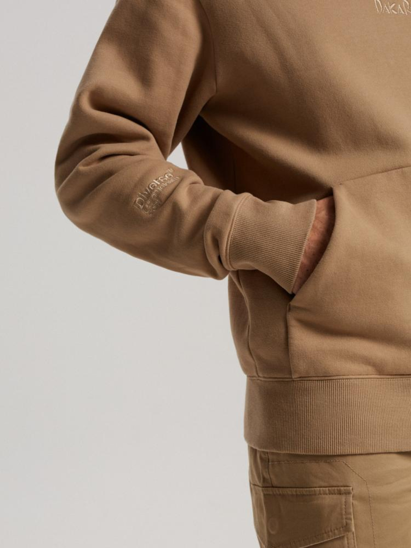 Худи DIVERSE Dkr Dsrt H1 модель 10040737 Фото