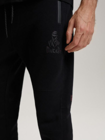 Штаны спортивные DIVERSE Dkr Cover 2 модель 10040755 Фото