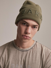 Шапка DIVERSE Dkr Dany Vi модель 10043528 Фото