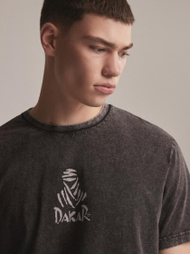 Футболка DIVERSE Dkr Wash 02 модель 10043319 Фото